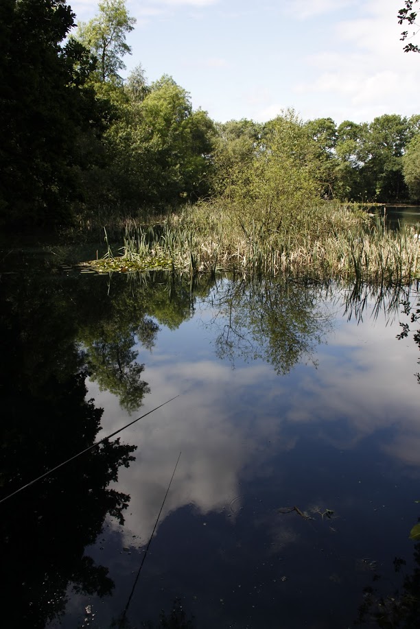 Flaxby Pond, Flaxby Knaresborough Piscatorials