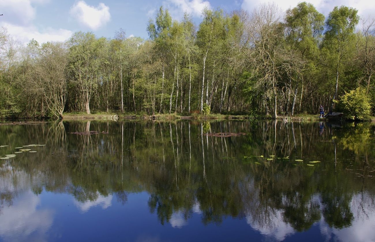 Flaxby Pond, Flaxby Knaresborough Piscatorials