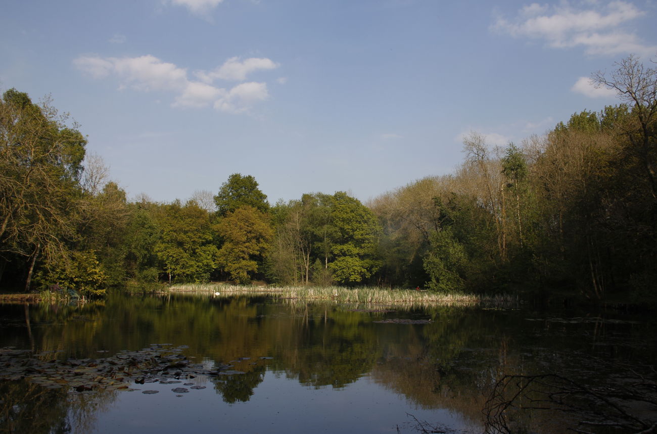 Flaxby Pond, Flaxby Knaresborough Piscatorials