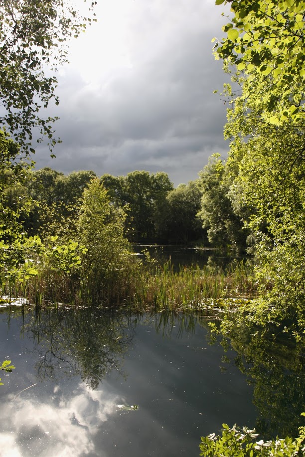 Flaxby Pond, Flaxby Knaresborough Piscatorials